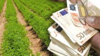 Πειραιώς: Νέο πρόγραμμα μικροχρηματοδοτήσεων έως €25.000 για αγρότες