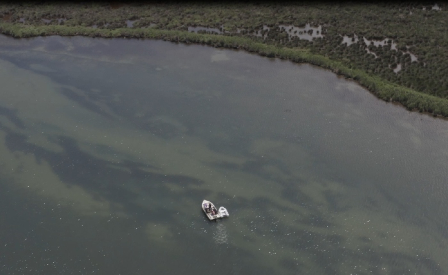 Nestlé Ελλάς και Εναλεία: Πρωτοβουλία για την προστασία του θαλάσσιου περιβάλλοντος