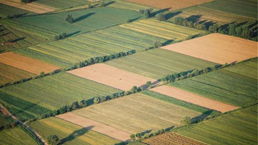 Eurostat: Στα 13.571 ευρώ η μέση τιμή πώλησης ανά στρέμμα των αγροτεμαχίων στην Ελλάδα