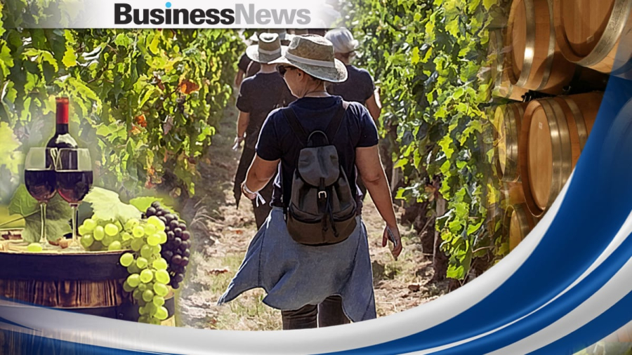 Oινοτουρισμός: Διψήφιος ρυθμός ανάπτυξης για το 2023 - Ποιες περιοχές της χώρας κερδίζουν τη μερίδα του λέοντος