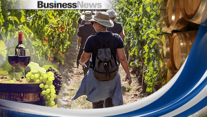 Oινοτουρισμός: Διψήφιος ρυθμός ανάπτυξης για το 2023 - Ποιες περιοχές της χώρας κερδίζουν τη μερίδα του λέοντος