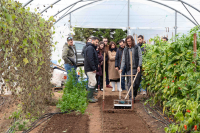 Νέα Γεωργία Νέα Γενιά: Συνεχίζεται για 3η χρονιά το πρόγραμμα κατάρτισης για τους γεωπόνους της εταιρείας ΜΠΑΡΜΠΑ ΣΤΑΘΗΣ