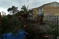 Μυτιλήνη: Υδροστρόβιλος «χτύπησε» το νησί προκαλώντας μεγάλες ζημιές