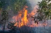 Εκκενώνεται το χωριό Κεχριές στην Εύβοια λόγω της πυρκαγιάς