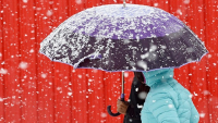 Αναμένεται νέο κύμα χιονοπτώσεων - Πώς λειτουργούν σήμερα καταστήματα, δημόσιες υπηρεσίες, σχολεία