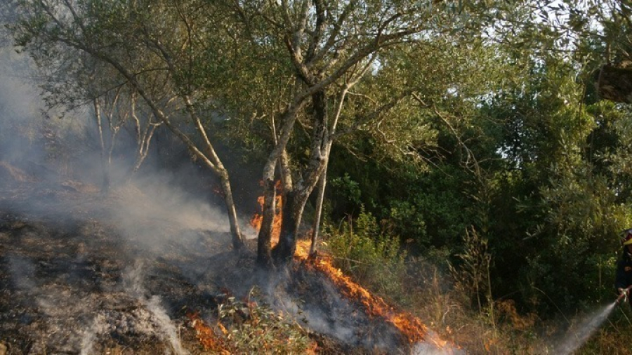 Πυρκαγιά στον Έβρο: Τείχος άμυνας και προστασίας του οικισμού της Δαδιάς