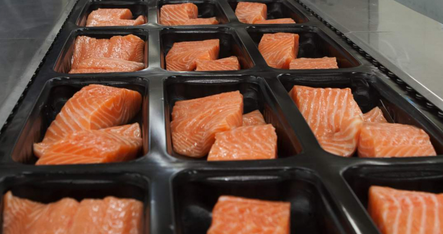 Elikonos 2 S.C.A. SICAR: Επενδύει 7 εκατ. ευρώ στη Select Fish