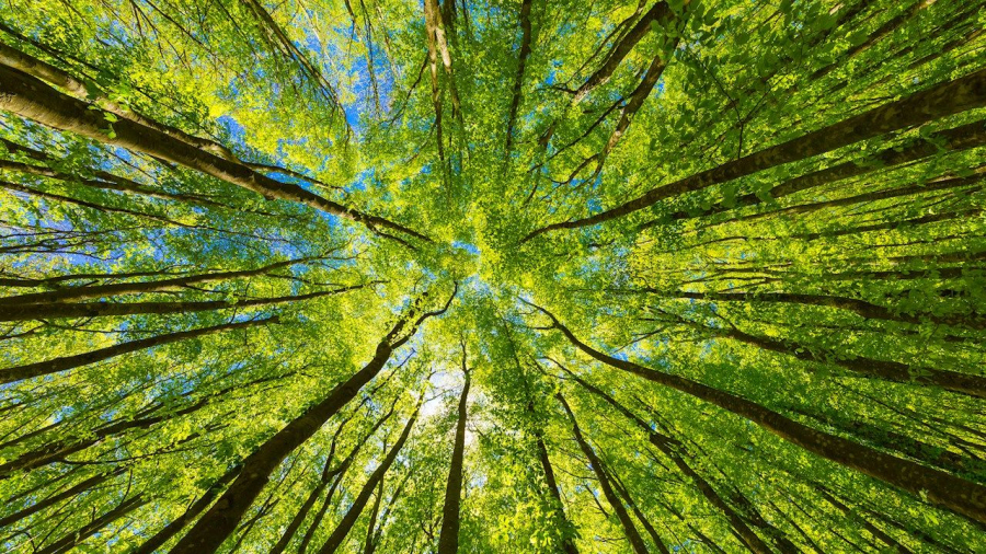 ABB: Από τις πιο βιώσιμες εταιρείες του κόσμου σύμφωνα με το TIME