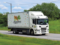 ΑΓΓΕΛΑΚΗΣ: Συνεργασία με OPTILOG και ΔΕΠΑ για τη μείωση του ανθρακικού της αποτυπώματος