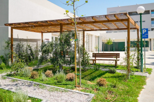 Δήμος Αθηναίων: Δημιουργία μικρών «οάσεων δροσιάς»