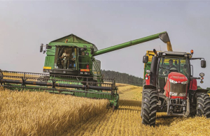 FAO: Προβλέψεις για παραγωγή ρεκόρ σιταριού το 2023