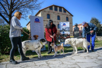 ΟΛΥΜΠΟΣ: Χορηγική μέριμνα στα αδέσποτα των Τρικάλων