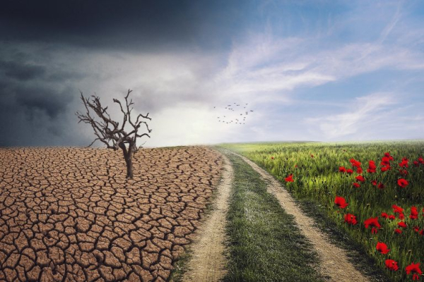 WWF: «Η κλιματική μετανάστευση δεν αποτελεί σενάριο του μέλλοντος, αλλά μια πραγματικότητα του παρόντος»