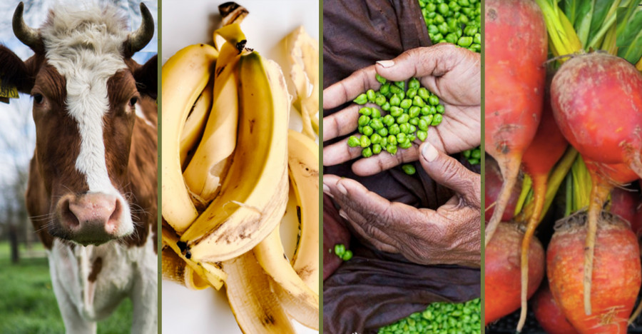 Κλιματική αλλαγή: Ποιες τροφές κινδυνεύουν