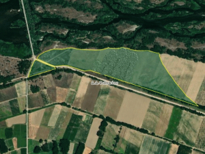 Ηλεκτρονικοί διαγωνισμοί της ΕΤΑΔ ΑΕ για τρία αγροτεμάχια στον Έβρο