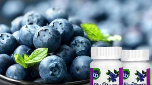 Με καινοτόμα προϊόντα και επενδύσεις, το μύρτιλο Δράμας κατακτά τις αγορές του εξωτερικού