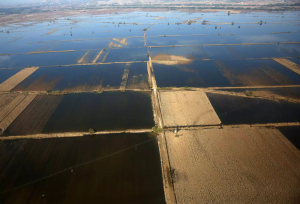 Πιστώνονται 110 εκατ. ευρώ σε Θεσσαλούς γεωργούς για αποζημιώσεις φυτικής παραγωγής