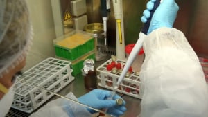 Κορονοϊός: Η επόμενη πανδημία μπορεί να είναι πιο φονική, σύμφωνα με ερευνήτρια της Οξφόρδης