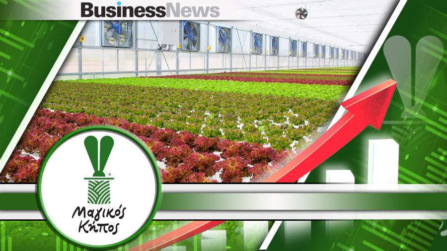 Μαγικός Κήπος: Το high tech θερμοκήπιο που παράγει 25.000 μαρούλια τη μέρα και αναμένει κέρδη το 2023