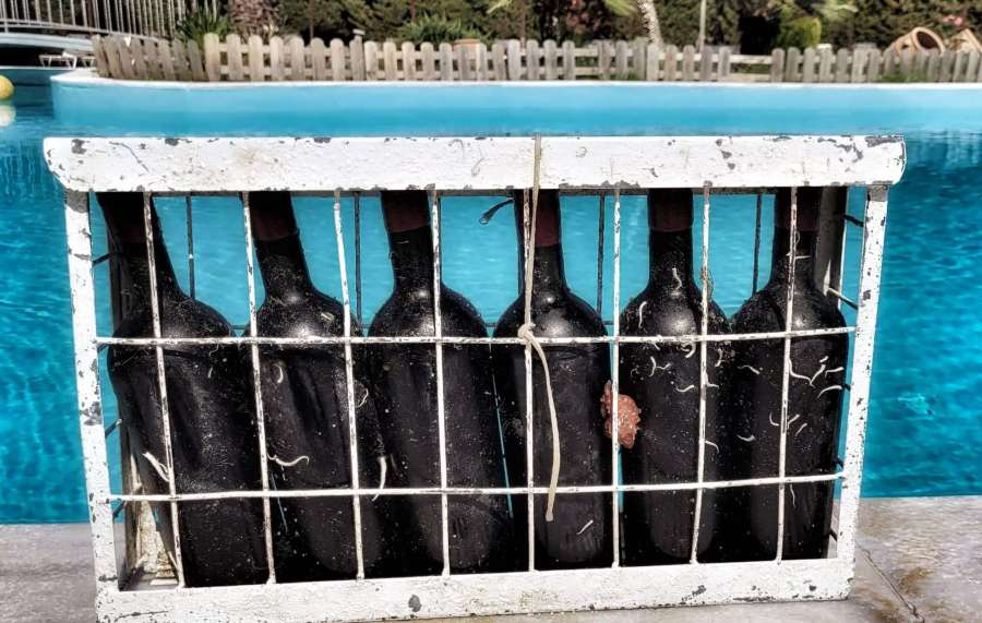 Με κρασιά από τον βυθό της Χαλκιδικής, οι Ιάπωνες συνοδεύουν το σούσι