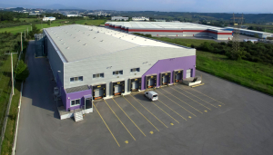 Όμιλος Βογιατζόγλου: Αυξημένες κατά 35,87% οι πωλήσεις το α' εξάμηνο