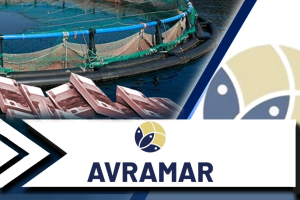 Ανατροπή στην Avramar: Ποιος παίρνει τον μεγαλύτερο όμιλο ιχθυοκαλλιέργειας