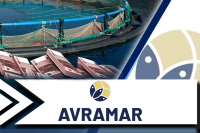 Ανατροπή στην Avramar: Ποιος παίρνει τον μεγαλύτερο όμιλο ιχθυοκαλλιέργειας