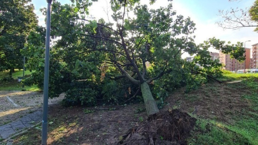 Θεσσαλονίκη: Προβλήματα στην πόλη, λόγω των ισχυρών ανέμων