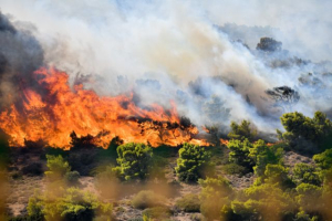 Φωτιά-Κερατέα: Εντολή για εκκένωση οικισμού