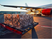 ΙΑΤΑ: Άνοδος 1,5% στη ζήτηση για air cargo τον Αύγουστο, για πρώτη φορά μετά από 19 μήνες