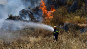 Πυρκαγιές σε Ναύπακτο και Εύβοια - Επί ποδός οι δυνάμεις της πυροσβεστικής
