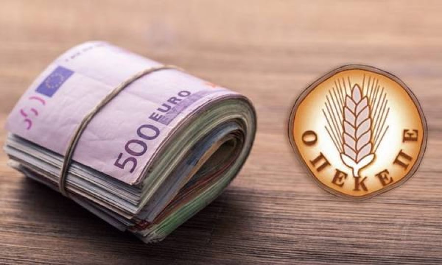 ΟΠΕΚΕΠΕ: Ποινική δίωξη για τους 17 συλληφθέντες - Αντιμέτωποι με κακουργήματα