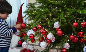 Παραδόσεις και λαϊκές δοξασίες των χριστουγεννιάτικων εορτών