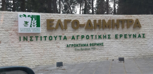 ΕΛΓΟ - ΔΗΜΗΤΡΑ: Μέχρι 24 Μαΐου οι αιτήσεις για τις 11 θέσεις Διευθυντών/ντριών στα Ινστιτούτα Αγροτικής Έρευνας
