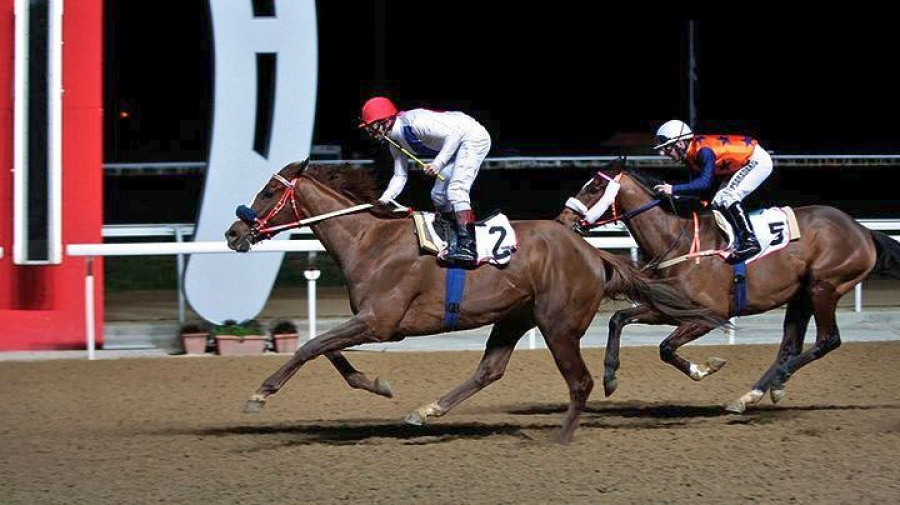 Συγκέντρωση εργαζομένων του Ιπποδρόμου με άλογα, στο κέντρο της Αθήνας