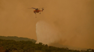 Αναζωπυρώσεις στην ευρύτερη περιοχή του Έβρου - 81 πυρκαγιές σε όλη τη χώρα