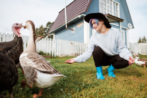 Βρετανία: Από έλλειψη εργατών απειλείται η ...γαλοπούλα των Χριστουγέννων