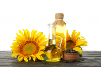 Γερμανική βιομηχανία τροφίμων: Υποκαθιστά το ηλιέλαιο και αντιδρά με ανατιμήσεις