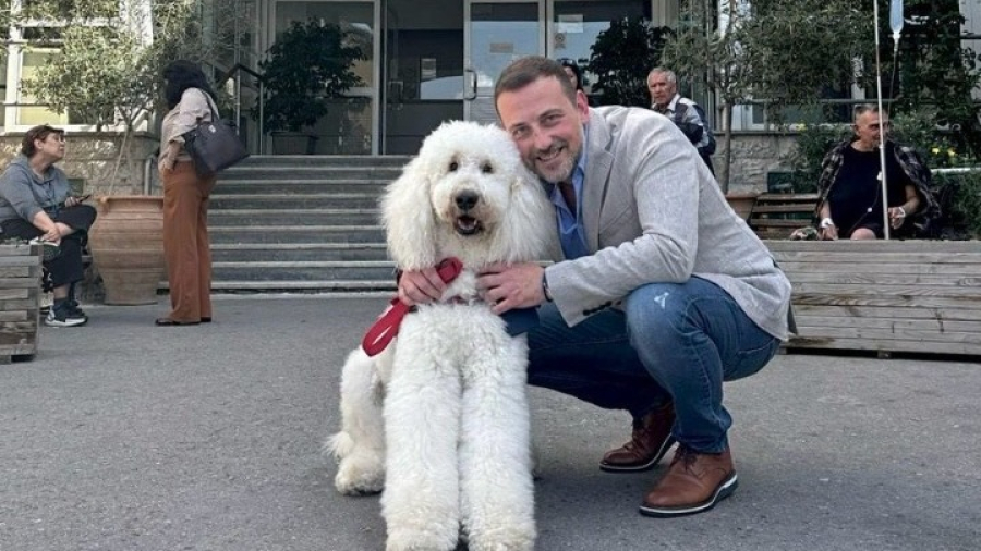 «Παρέα με Ουρά» στο Νοσοκομείο Μεταξά - Σκύλοι θεραπείας δίπλα σε ογκολογικούς ασθενείς