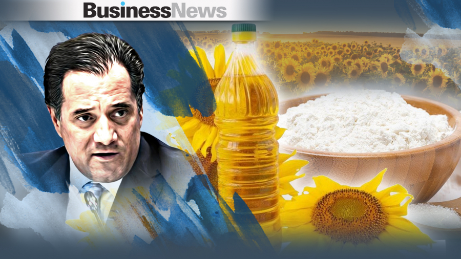 Γεωργιάδης: Δημιουργία πλατφόρμας για άλευρα και ηλιέλαιο, για να ξέρουμε τα αποθέματα (vid)