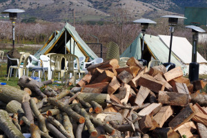 Σεισμός ταρακούνησε ξανά την Ελασσόνα