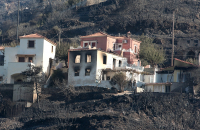 Αρωγή: Σε 462 οι ΑΦΜ των πληγέντων που έχουν υποβάλει αιτήσεις αποζημίωσης