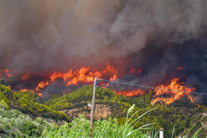Νέο μέτωπο φωτιάς στην Ηλεία