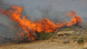 WWF: Η προδιαγεγραμμένη καύση, «εργαλείο» πρόληψης στις δασικές πυρκαγιές