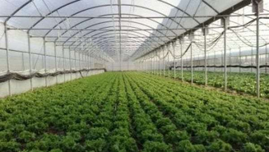 Παράταση της προθεσμίας αιτήσεων για θερμοκήπια και μεταποίηση γεωργικών προϊόντων