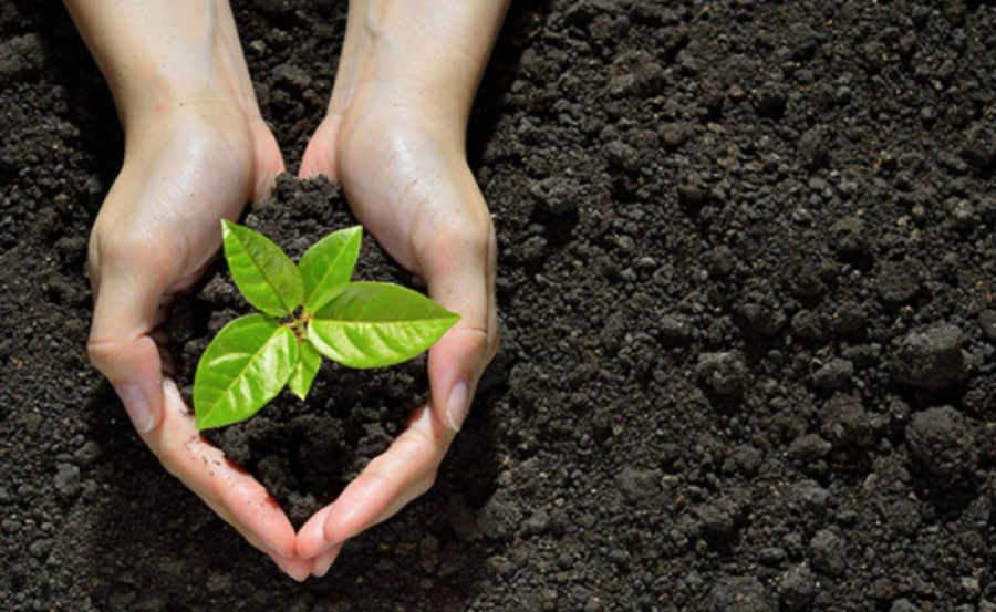 ΕΕ: Σε ισχύ οι νέοι κανόνες με στόχο την ενδυνάμωση των καταναλωτών για την πράσινη μετάβαση