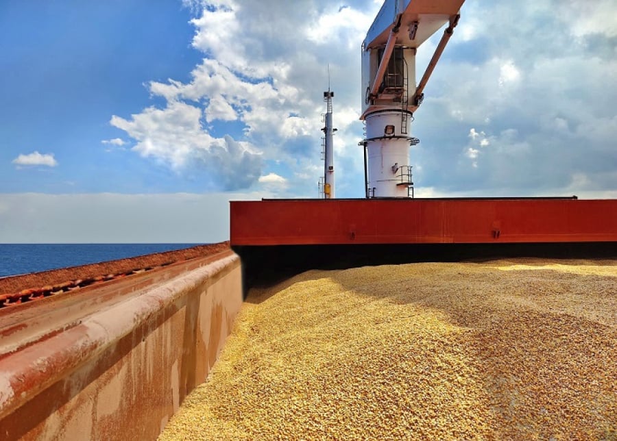 Cargill και Viterra σταματούν τις εξαγωγές σιτηρών από τη Ρωσία