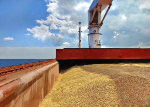 Cargill και Viterra σταματούν τις εξαγωγές σιτηρών από τη Ρωσία