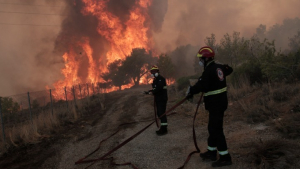 Νέα φωτιά στην Εύβοια - Σε Δοκό και Κοντοδεσπότι - Μήνυμα 112 για εκκένωση