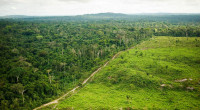 Το 94% της αποψίλωσης του δάσους του Αμαζονίου γίνεται παράνομα